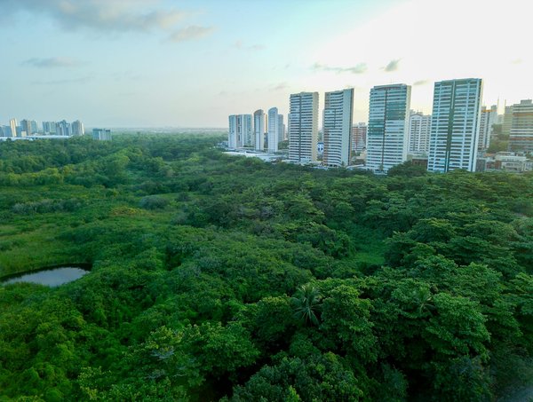 Comment devenir politicien ?